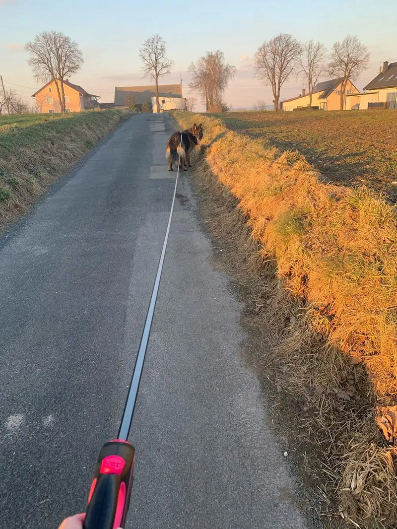 Coleira Retrátil 3m, 5m, 8m - Suporta até 50kg | Perfeita para Cachorros Pequenos e Grandes