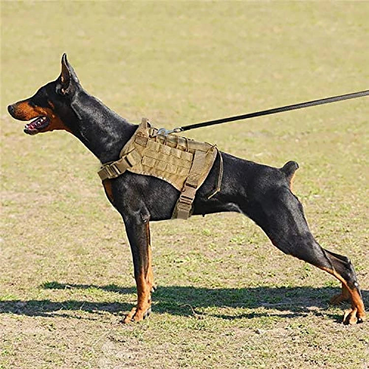 Conjunto Tático Trela e Arnês para Cães de Grande Porte - Design Militar e Resistente