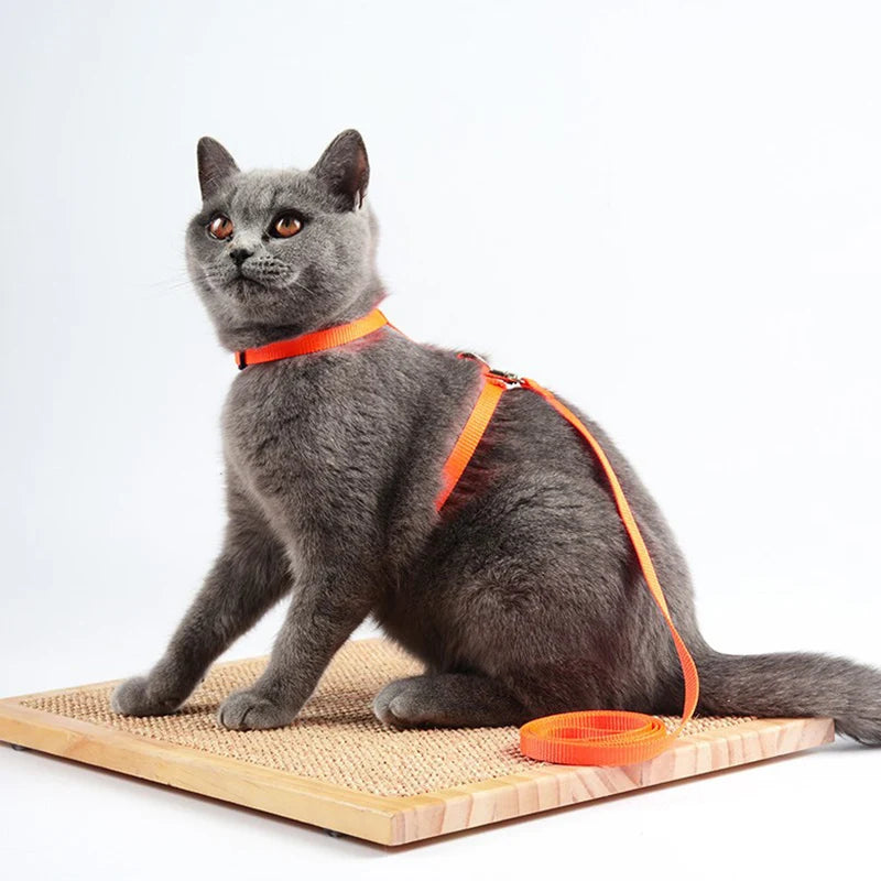 Peitoral Confortável com Guia para Gatos e Cães de Pequeno Porte – Segurança e Estilo em Cada Passeio!