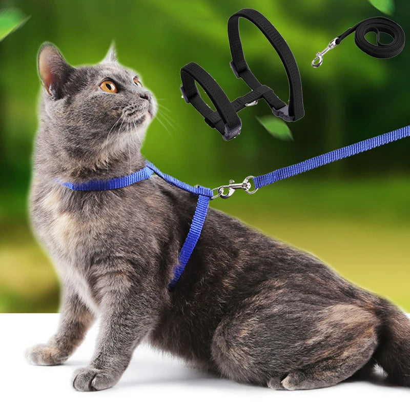 Peitoral Confortável com Guia para Gatos e Cães de Pequeno Porte – Segurança e Estilo em Cada Passeio!