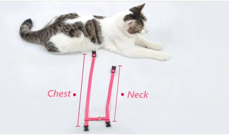 Peitoral Confortável com Guia para Gatos e Cães de Pequeno Porte – Segurança e Estilo em Cada Passeio!