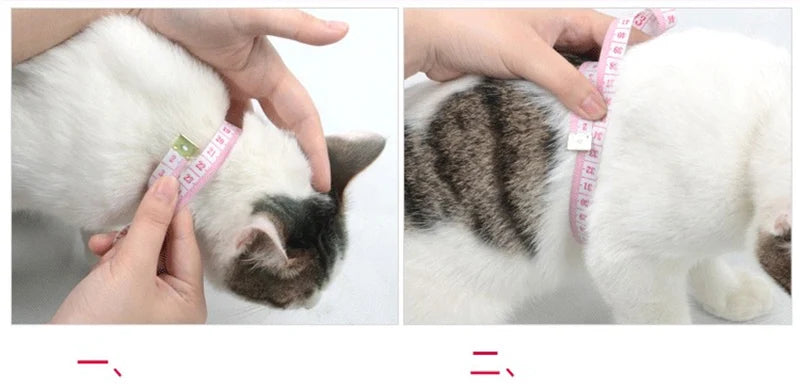 Peitoral Confortável com Guia para Gatos e Cães de Pequeno Porte – Segurança e Estilo em Cada Passeio!