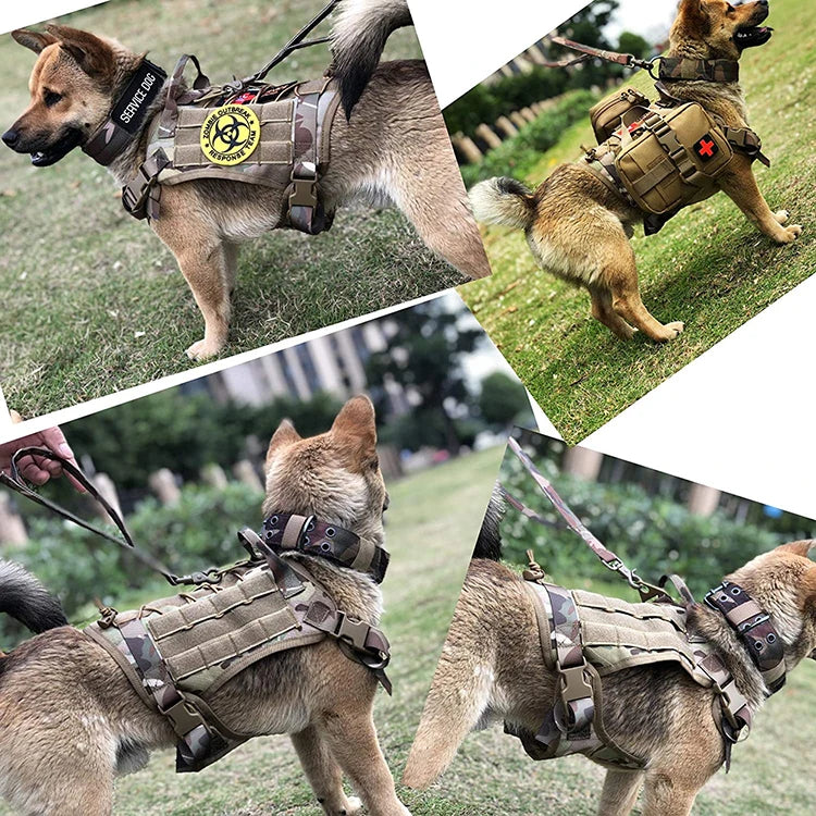 Conjunto Tático Trela e Arnês para Cães de Grande Porte - Design Militar e Resistente