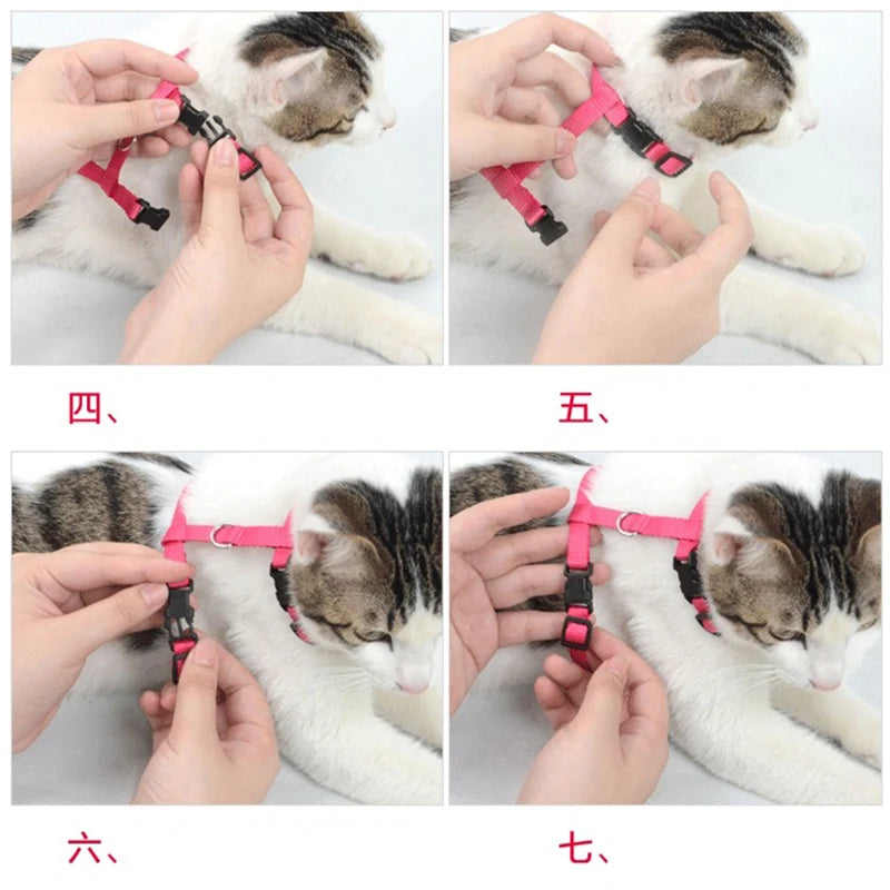 Peitoral Confortável com Guia para Gatos e Cães de Pequeno Porte – Segurança e Estilo em Cada Passeio!