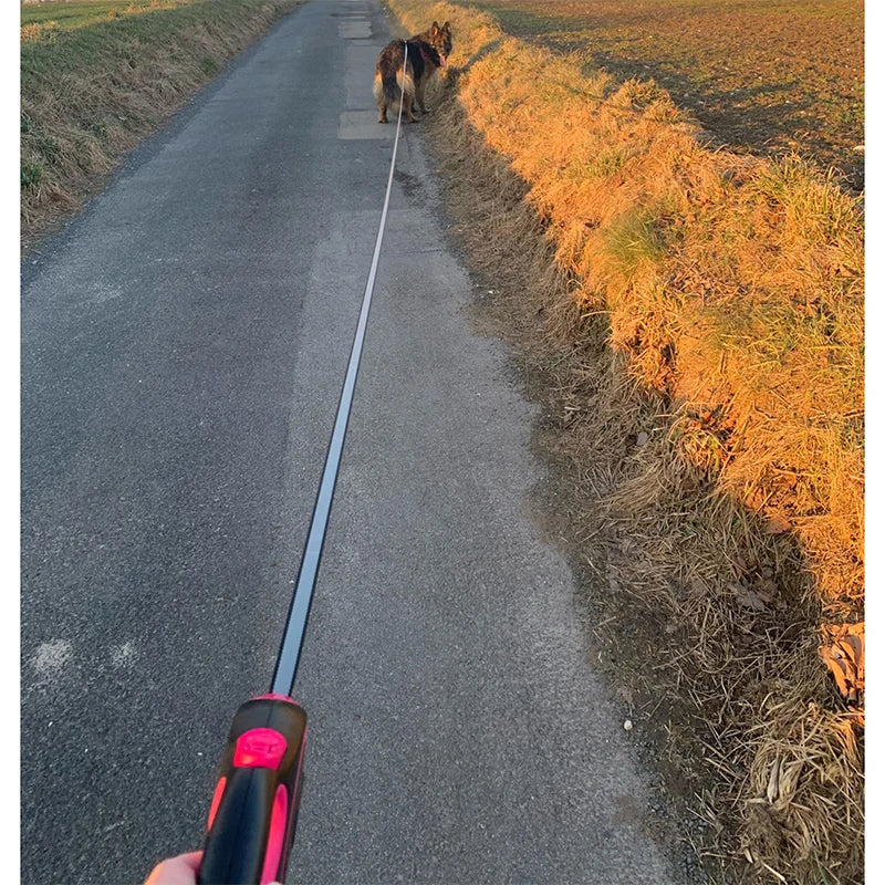 Coleira Retrátil 3m, 5m, 8m - Suporta até 50kg | Perfeita para Cachorros Pequenos e Grandes